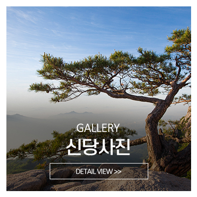 대자당_메인중간_신당사진